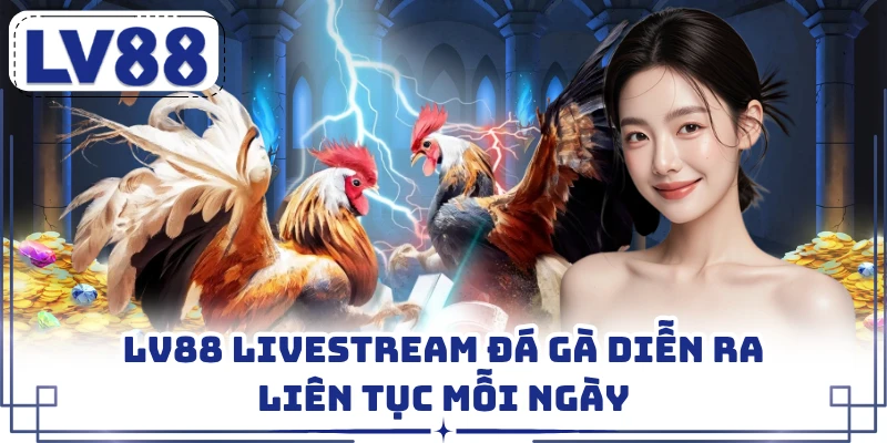 LV88 livestream đá gà diễn ra liên tục mỗi ngày